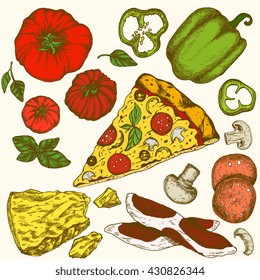 Vector illustration ink colored hand drown Italian tasty pizza ingredients set: tomato basil mushroom, onion pepper cheese , olives and eggs, bacon. Isolated on white background. Elements for menu.