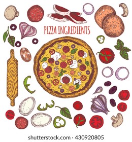 Vector illustration ink colored hand drawn Italian tasty pizza ingredients elements set: tomato basil mushroom, onion pepper cheese , olives and eggs, salami, bacon. Isolated on white background.