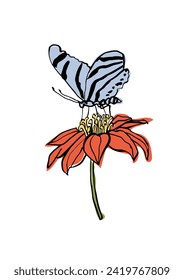Vector illustration - ink floral posters with lily flowers and butterfly . Art for for prints, wall art, banner, background