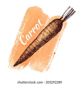 Vector illustration of ink hand drawn vintage carrot on orange hand painted watercolor background. Grunge healthy food  illustration. 