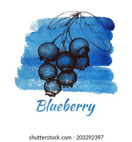 Vector illustration of ink hand drawn vintage blueberry on blue hand painted watercolor background. Grunge healthy food  illustration. 