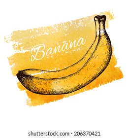 Vector illustration of ink hand drawn vintage banana on yellow hand painted watercolor background. Grunge fruit illustration.