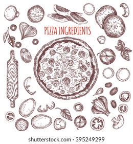 Vector illustration ink hand drown Italian tasty pizza ingredients elements set: tomato basil mushroom, onion pepper cheese , olives and eggs, salami, bacon. Isolated on white background.