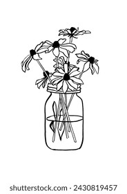 Vector illustration - ink sketch with echinacea flowers in vase. Art for for prints, wall art, banner, background