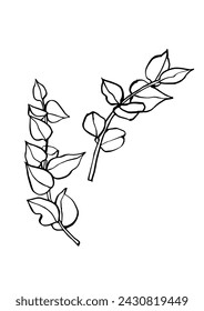 Vector illustration - ink sketch with eucalyptus branches. Art for for prints, wall art, banner, background
