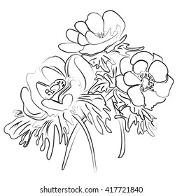 Vector illustration of an ink sketch of a flower anemones