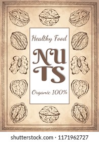 Vector illustration of ink sketch hand drawn walnut plant. Farmer market design. Vintage, retro style. Whole, half nuts seed. Healthy food, organic. Poster, card template, Flyer, booklet.