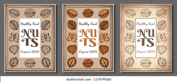 Vector illustration of ink sketch hand drawn colorful walnut plant. Farmer market design. Vintage, retro style. Whole, half nuts seed. Healthy food, organic. Poster, card template, Flyer, booklet.