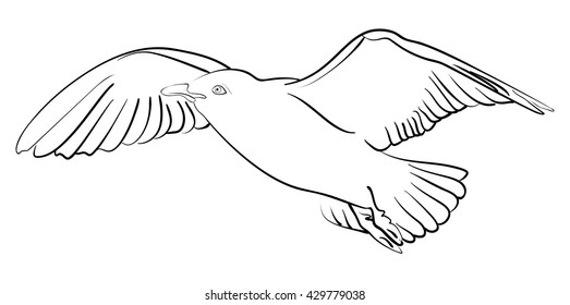 Vector illustration of ink sketch seagull in flight