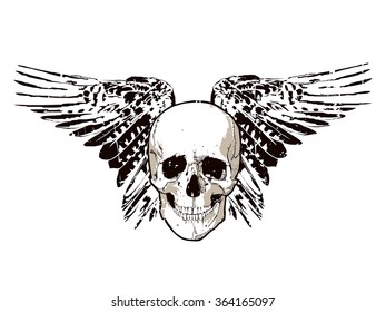 Vector illustration - Ink skull with wings