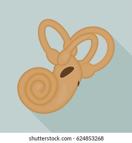 Vector illustration of the inner ear is made in a flat style