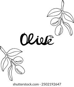 Vector illustration with the inscription Olive and a sprig of olive with the fruits of the plant. Insulation for business cards, packaging, design, textiles.