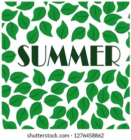 
vector illustration inscription summer and leaves