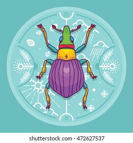 Vector Illustration of Insect Beetle Design Elements with Line Graphic. Circle life Day  Night and Four Seasons in Nature Concept
