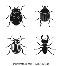 Vector illustration of insect and beetle icon. Collection of insect and halloween vector icon for stock.