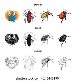 Vector illustration of insect and beetle icon. Collection of insect and halloween stock symbol for web.