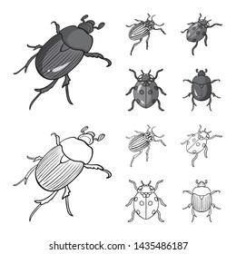 Vector illustration of insect and beetle icon. Collection of insect and halloween vector icon for stock.