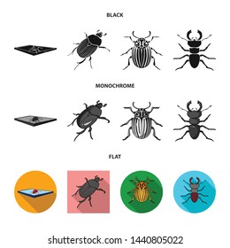 Vector illustration of insect and beetle icon. Set of insect and halloween stock vector illustration.