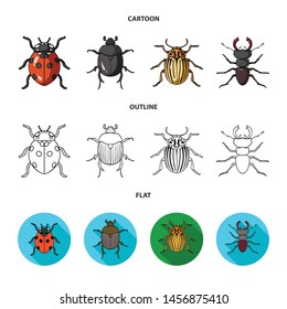 Vector illustration of insect and beetle icon. Collection of insect and halloween vector icon for stock.