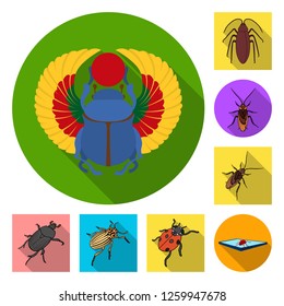 Vector illustration of insect and beetle logo. Collection of insect and halloween stock symbol for web.