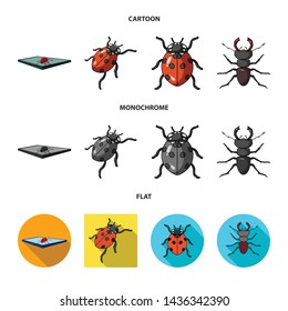 Vector illustration of insect and beetle logo. Collection of insect and halloween stock symbol for web.