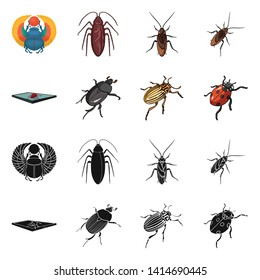Vector illustration of insect and beetle sign. Collection of insect and halloween stock vector illustration.