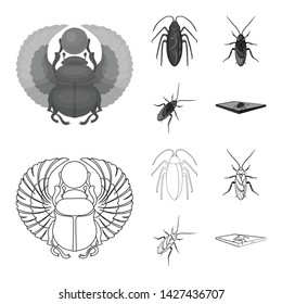 Vector illustration of insect and beetle sign. Set of insect and halloween stock symbol for web.