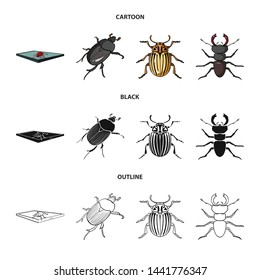 Vector illustration of insect and beetle sign. Set of insect and halloween vector icon for stock.