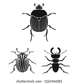 Vector illustration of insect and beetle symbol. Collection of insect and halloween stock symbol for web.