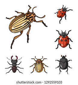 Vector illustration of insect and beetle symbol. Set of insect and halloween vector icon for stock.