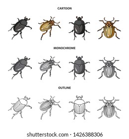 Vector illustration of insect and beetle symbol. Collection of insect and halloween stock vector illustration.