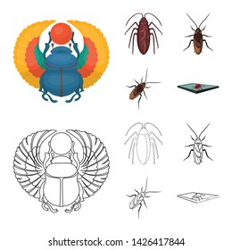 Vector illustration of insect and beetle symbol. Collection of insect and halloween stock vector illustration.