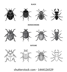 Vector illustration of insect and beetle symbol. Set of insect and halloween stock vector illustration.