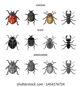 Vector illustration of insect and beetle symbol. Collection of insect and halloween stock vector illustration.