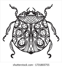 Vector illustration of an insect, bug. Black white illustration isolated. Graphics, logo design, tattoo, coloring book, antistress.