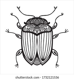 Vector illustration of an insect, bug. Black white illustration isolated. Graphics, logo design, tattoo, coloring book, antistress.