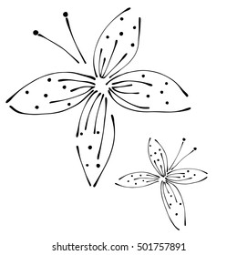 Vector illustration of insect. Butterfly isolated on the white background. Hand drawn contour lines and strokes. Graphic vector illustration