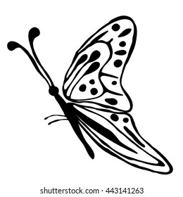 Vector illustration of insect. Cute hand drawn black butterfly isolated on the white background. Inc painting. Series of Animals and Insect Illustration.