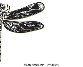 Vector illustration of an insect - Dragonfly - frame element 