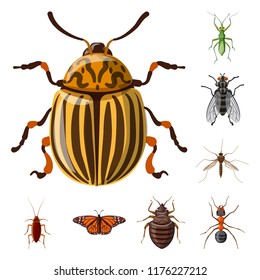 Vector illustration of insect and fly icon. Set of insect and element stock vector illustration.