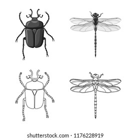 Vector illustration of insect and fly icon. Set of insect and element stock symbol for web.
