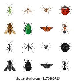 Vector illustration of insect and fly icon. Set of insect and element stock symbol for web.