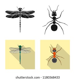Vector illustration of insect and fly icon. Set of insect and element stock vector illustration.