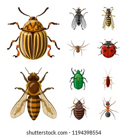 Vector illustration of insect and fly icon. Set of insect and element stock symbol for web.