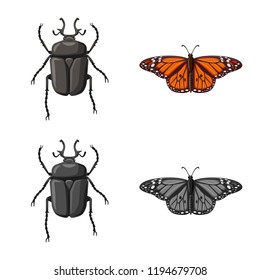 Vector illustration of insect and fly icon. Collection of insect and element stock vector illustration.