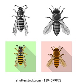 Vector illustration of insect and fly icon. Collection of insect and element stock vector illustration.