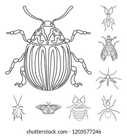 Vector illustration of insect and fly icon. Set of insect and element stock symbol for web.