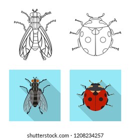 Vector illustration of insect and fly icon. Set of insect and element stock symbol for web.