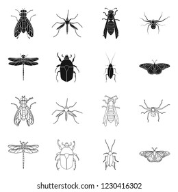 Vector illustration of insect and fly icon. Collection of insect and element vector icon for stock.