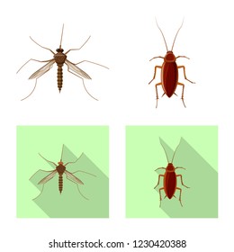 Vector illustration of insect and fly icon. Collection of insect and element stock vector illustration.